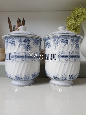 画像5: ALPHANDサルグミンヌキャニスター1P