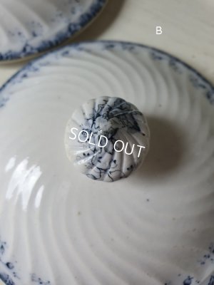 画像8: ALPHANDサルグミンヌキャニスター1P