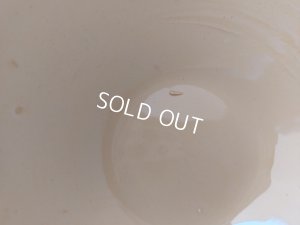 画像8: ディゴワンサルグミンヌローズ柄カフェオレボウル