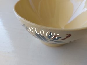 画像13: ディゴワンサルグミンヌローズ柄カフェオレボウル