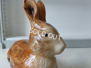 画像7: Michel Caugantうさぎテリーヌポット