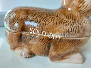 画像8: Michel Caugantうさぎテリーヌポット