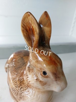 画像7: Michel Caugantうさぎテリーヌポット