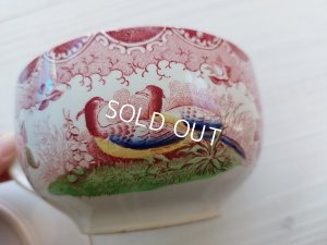 画像4: アンティークサルグミンヌカップ＆ソーサートリオ