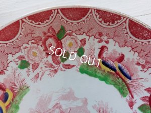 画像17: アンティークサルグミンヌカップ＆ソーサートリオ