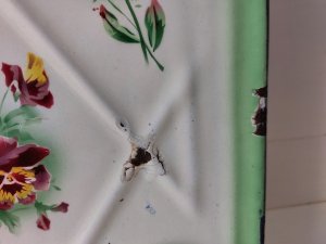 画像5: Japyグリーングラデーションローズとパンジー柄レードルラック