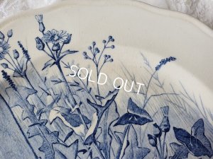 画像5: テールドフェールうさぎと小鳥柄コンポート