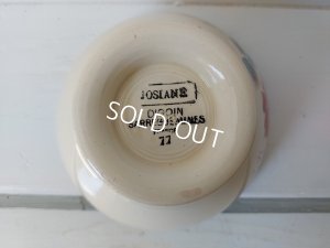 画像11: Digoin Joianeローズ柄カフェオレボウル