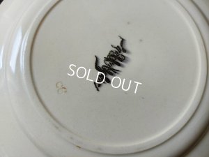 画像8: サルグミンヌEnfant Richarddプレート