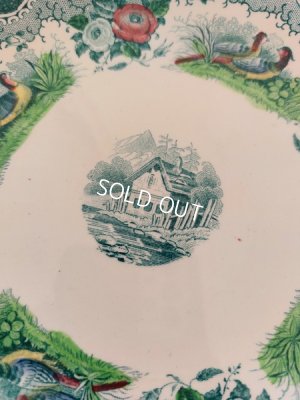 画像7: アンティークサルグミンヌカップ＆ソーサートリオ