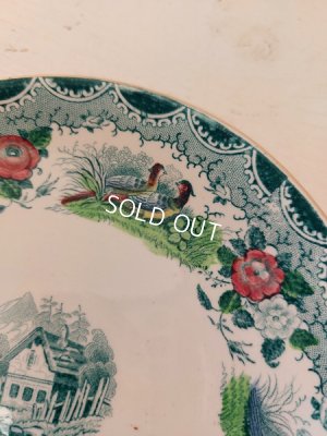 画像9: アンティークサルグミンヌカップ＆ソーサートリオ