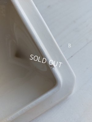 画像11: バドンヴィレーローズ柄キャニスター