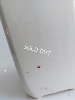 画像19: バドンヴィレーローズ柄キャニスター