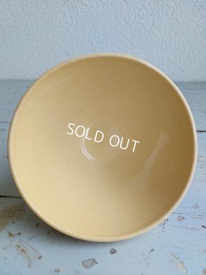 画像6: ディゴワンサルグミンヌローズ柄カフェオレボウル