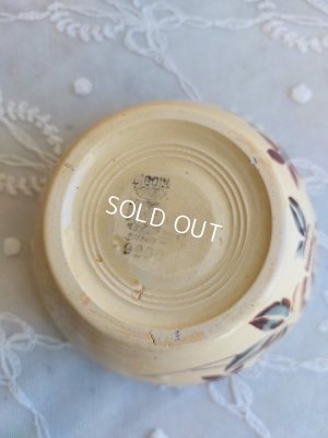 画像9: ディゴワンサルグミンヌローズ柄カフェオレボウル