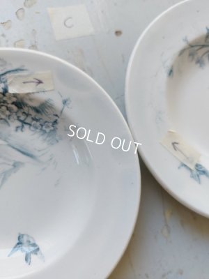 画像5: ジアンペイサージュおままごと陶器プレート3枚Cセット