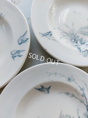 画像11: ジアンペイサージュおままごと陶器プレート6枚Dセット