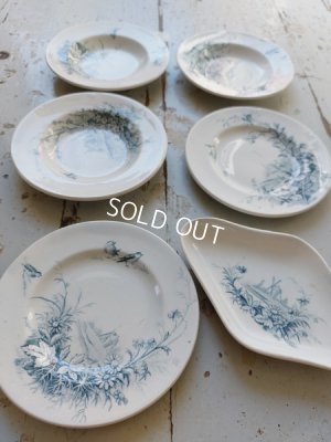 画像4: ジアンペイサージュおままごと陶器プレート6枚Eセット