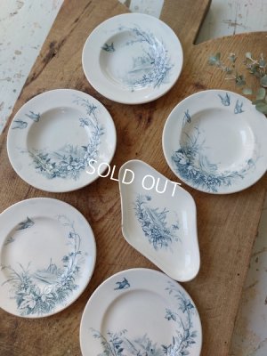 gienplate