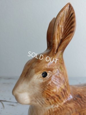 画像14: Michel Caugantうさぎテリーヌポット