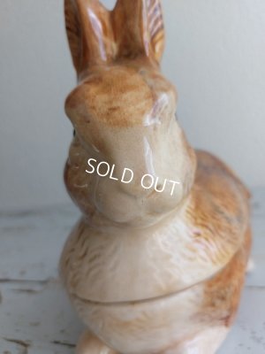 画像15: Michel Caugantうさぎテリーヌポット