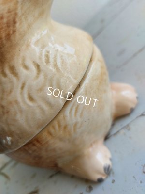 画像17: Michel Caugantうさぎテリーヌポット