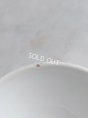 画像11: アンティークルルドの泉カフェオレボウル