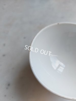 画像13: アンティークルルドの泉カフェオレボウル