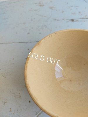 画像6: アンティーク手描きローズ柄ボウル