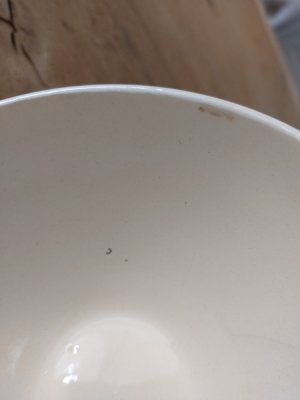 画像3: ディゴワンサルグミンヌ花柄カフェオレボウル