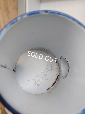 画像7: Japyイエローグラデーション勿忘草柄ポット