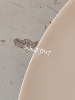 画像4: Froment Richard サルグミンヌ絵皿