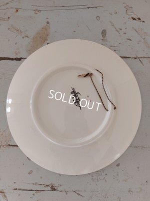 画像7: Froment Richard サルグミンヌ絵皿