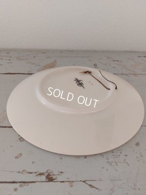 画像10: Froment Richard サルグミンヌ絵皿