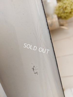 画像9: BBローズガーランド柄レードルラック