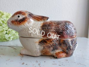 画像5: Michel Caugantうさぎテリーヌポット