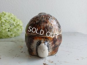 画像6: Michel Caugantうさぎテリーヌポット