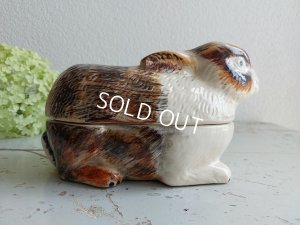 画像7: Michel Caugantうさぎテリーヌポット
