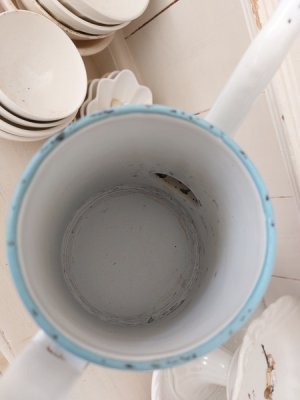 画像5: BBローズガーランド柄コーヒーポット