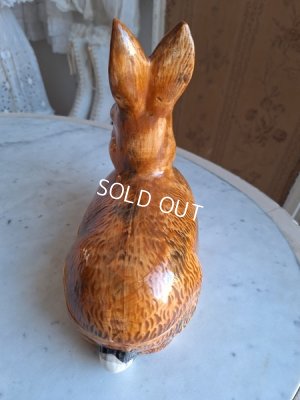 画像5: Michel Caugantうさぎテリーヌポット