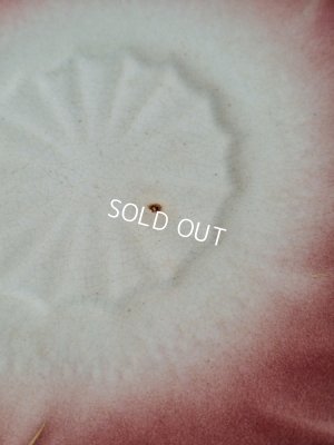 画像15: リュネヴィルチューリップカップ&ソーサー