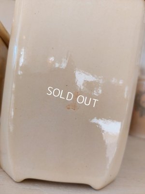 画像8: バドンヴィレ花柄陶器キャニスター