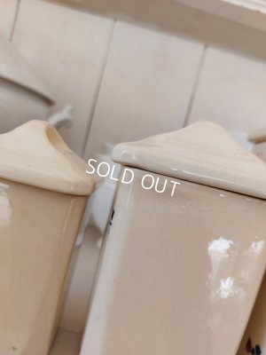 画像9: バドンヴィレ花柄陶器キャニスター