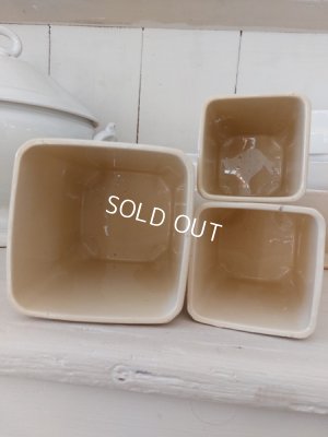 画像13: バドンヴィレ花柄陶器キャニスター