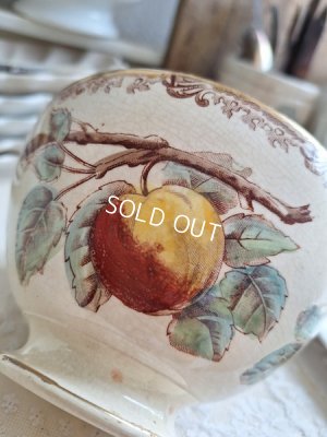 画像2:  Au Planteur de Caïffaりんご柄カフェオレボウル