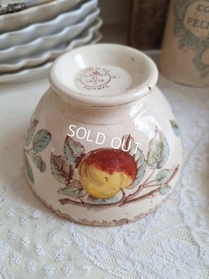 画像11:  Au Planteur de Caïffaりんご柄カフェオレボウル