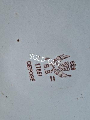 画像11: BBローズガーランド柄ケトル