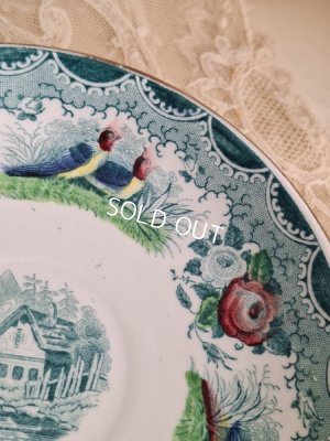 画像16: サルグミンヌカップソーサー　