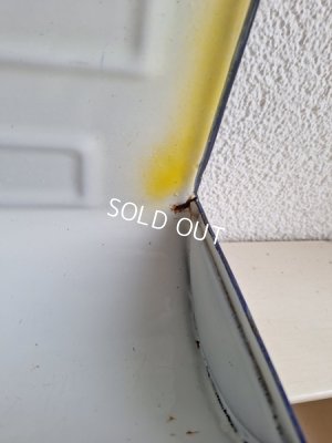 画像13: Japyイエロー勿忘草柄レードルラック