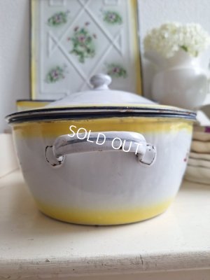 画像4: Japyイエローぼかし勿ローズとパンジー柄チュリーン　